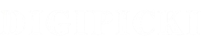 digipicki.online